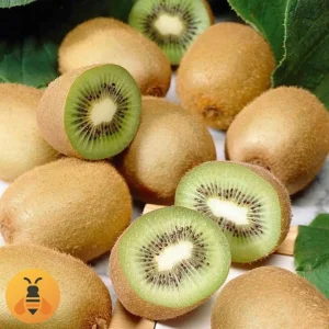 Kivi-Hayward-Logo Prodaja sadnica Kivi Hayward.